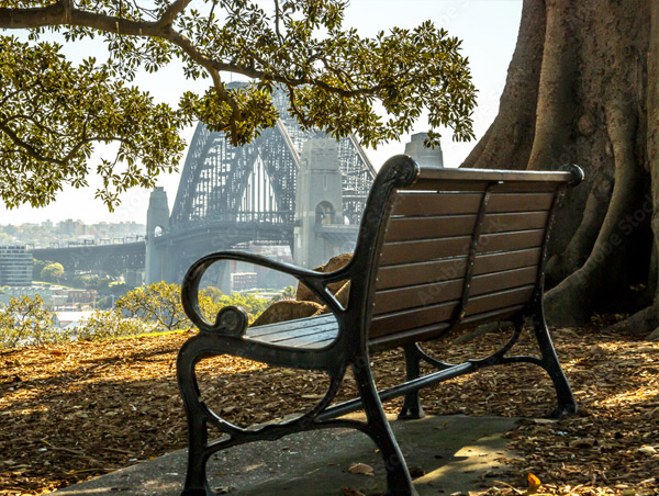 Philanthropy & Community Impact